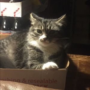 Meet your Posher, Meredith